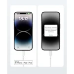 Anker 310 USB C to Lightning Cable A81A2