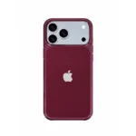 Birde Clear IC MagSafe Case