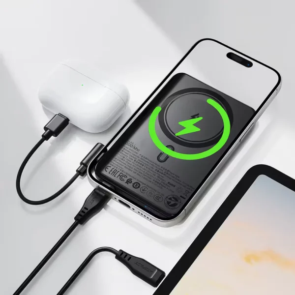 ACEFAST Magnetic Fast Wireless Charge Power Bank M30 PD20W