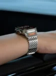 Titanium Magnetic stainless steel band
