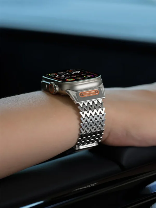 Titanium Magnetic stainless steel band
