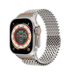 Titanium Magnetic stainless steel band