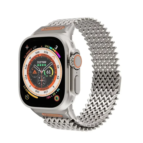 Titanium Magnetic stainless steel band