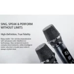 Lenyes Titan 2 RGB Dual Microphone TWS Bluetooth Speaker 100W