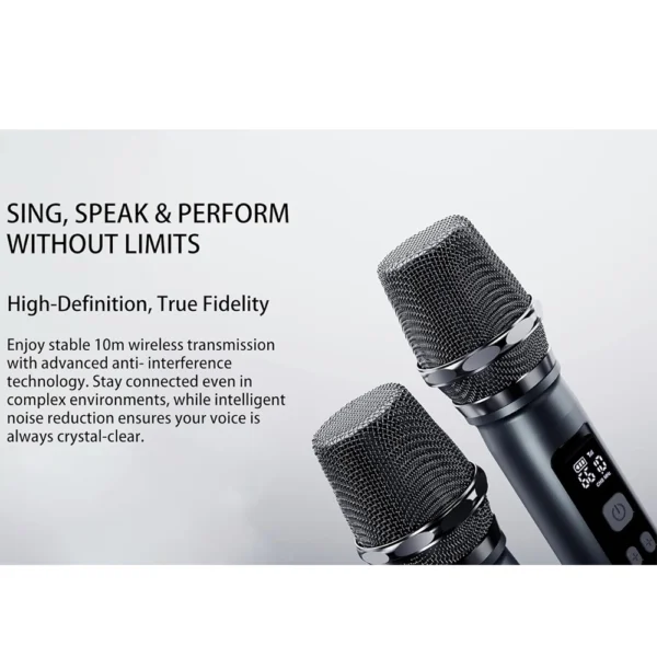 Lenyes Titan 2 RGB Dual Microphone TWS Bluetooth Speaker 100W
