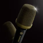 Lenyes S862 Karaoke Bluetooth Speaker