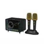 Lenyes S862 Karaoke Bluetooth Speaker